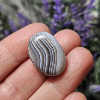 Botswana Agate Specimen