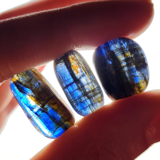 Royal Blue Kyanite