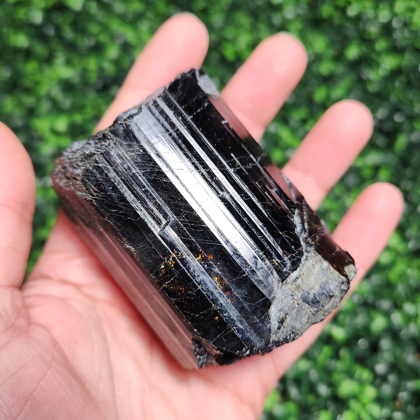 HUGE Black Tourmaline Crystal
