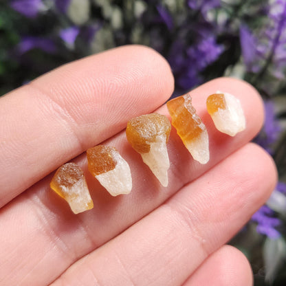 Orange Garnet Flame