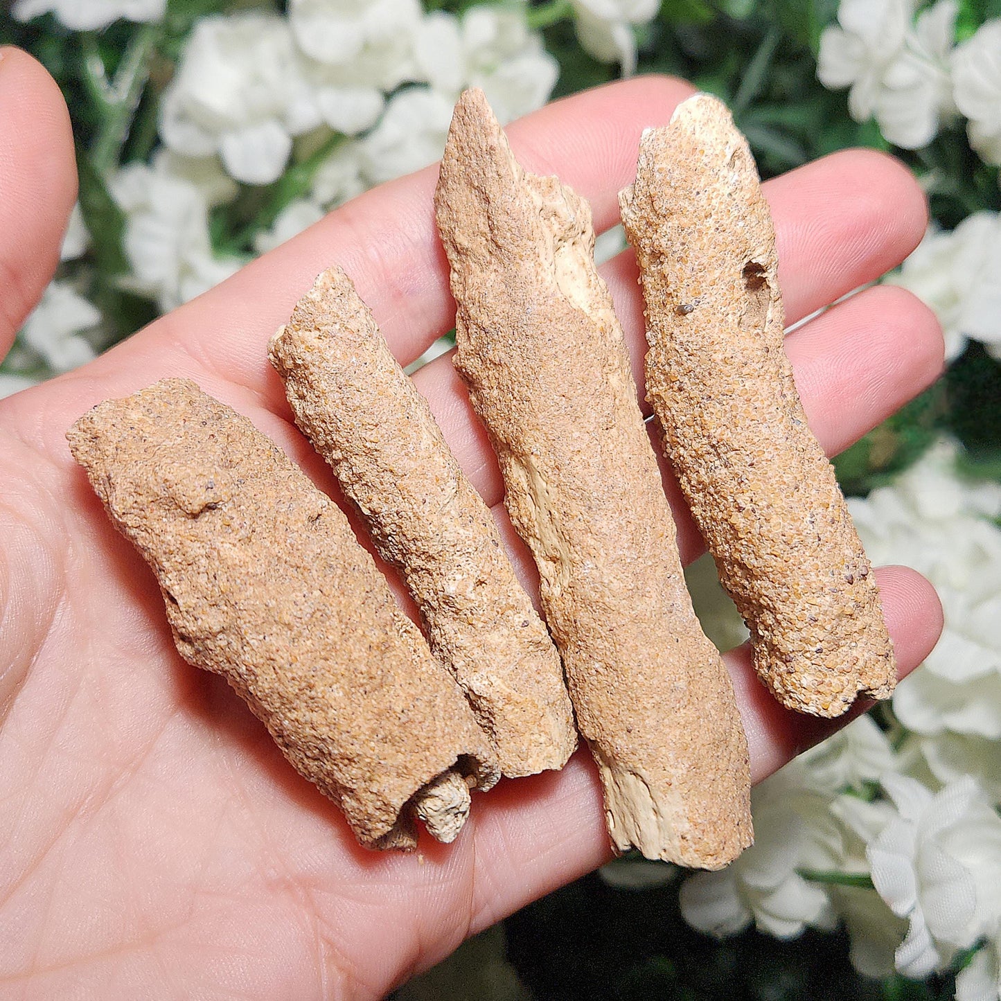 RARE Lightning Fused FULGURITE