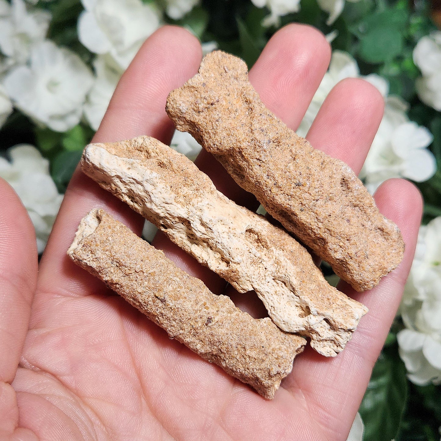RARE Lightning Fused FULGURITE