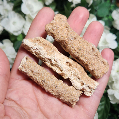 RARE Lightning Fused FULGURITE