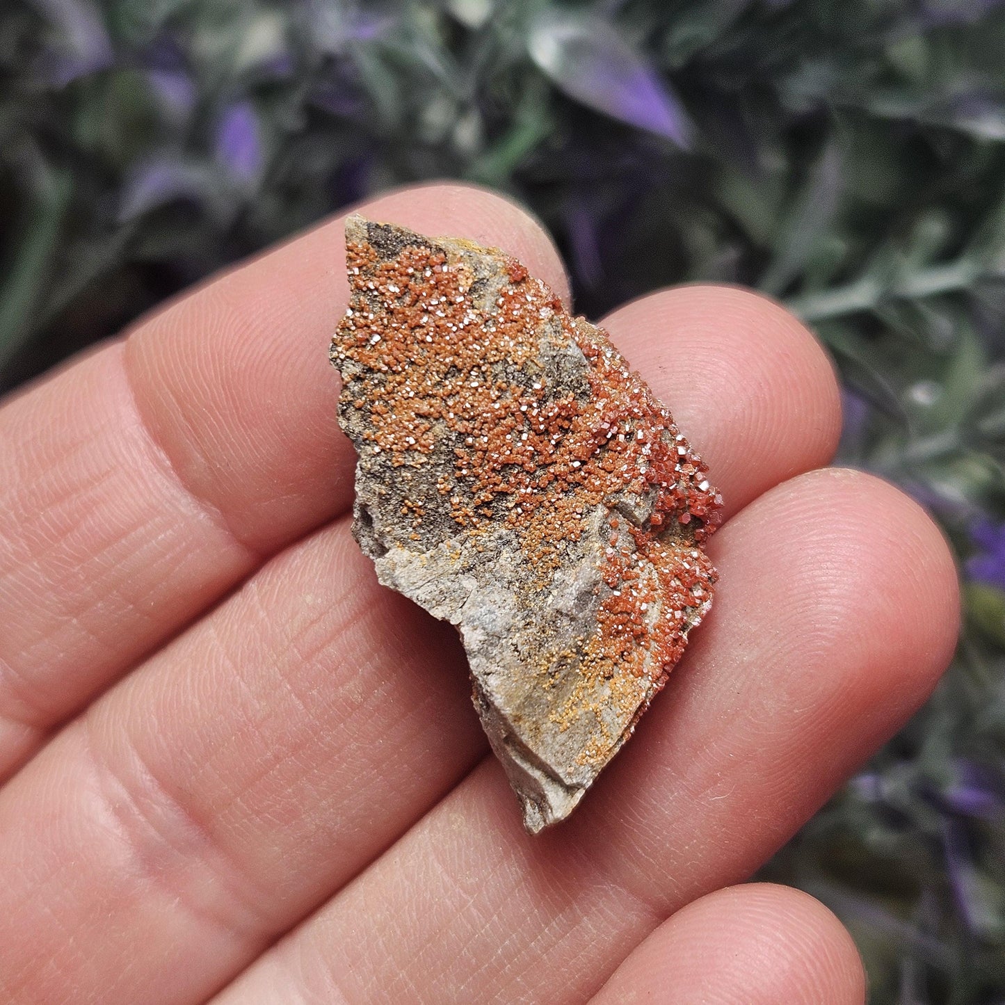 Vanadinite Cluster (Arizona, USA)