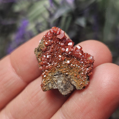 Vanadinite Cluster (Arizona, USA)