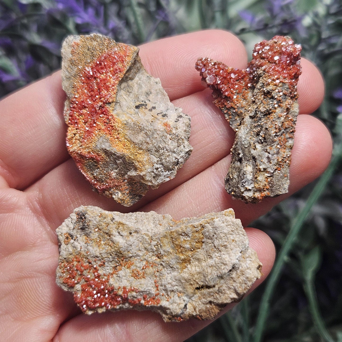 Vanadinite Cluster (Arizona, USA)