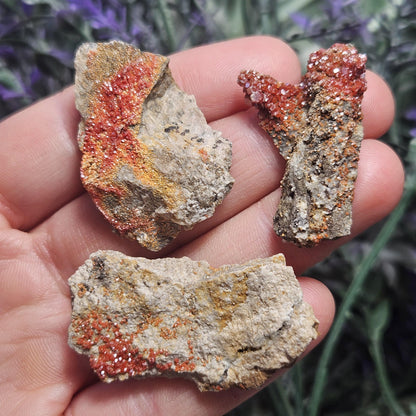 Vanadinite Cluster (Arizona, USA)