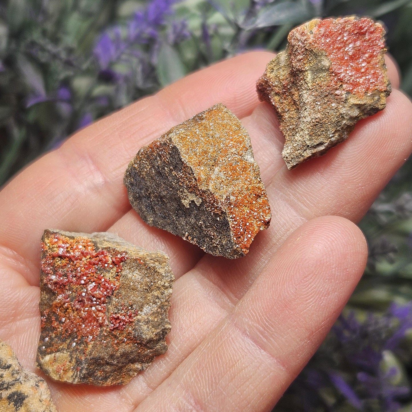 Vanadinite Cluster (Arizona, USA)
