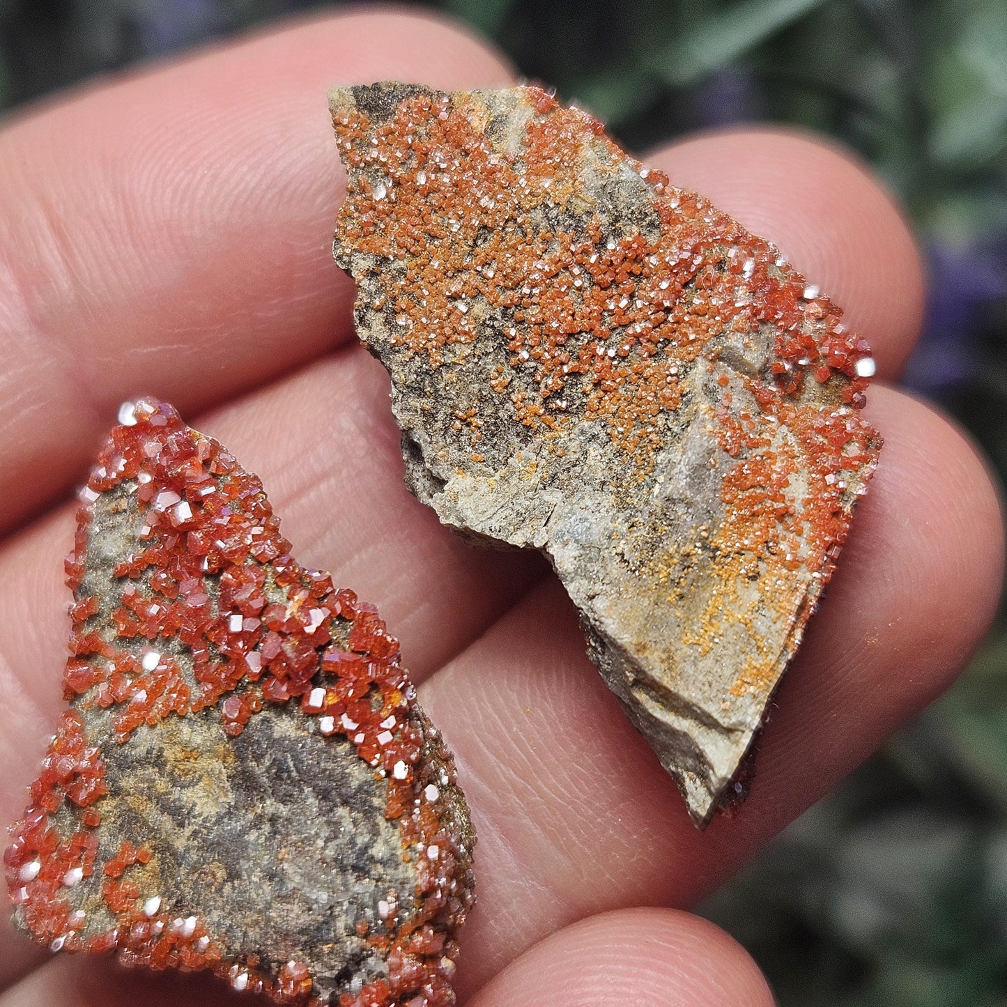 Vanadinite Cluster (Arizona, USA)