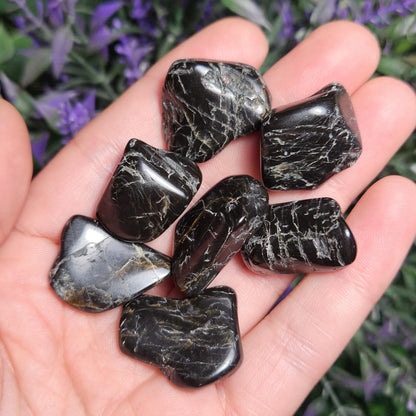 Black Tourmaline Crystal