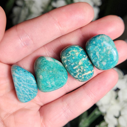 Amazonite Tumbled Stone