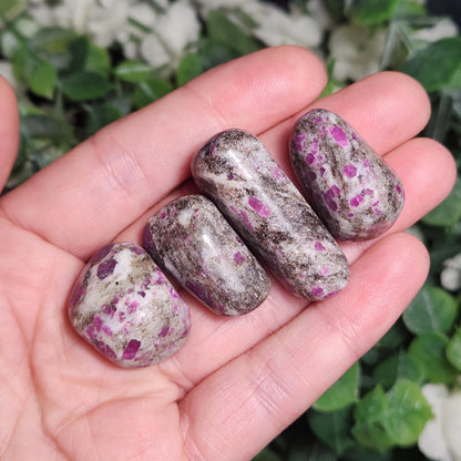 Tumbled Ruby Crystal, Ruby in Granite Specimen