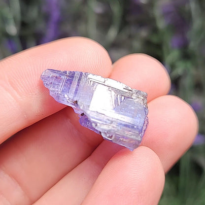 Tanzanite Crystal
