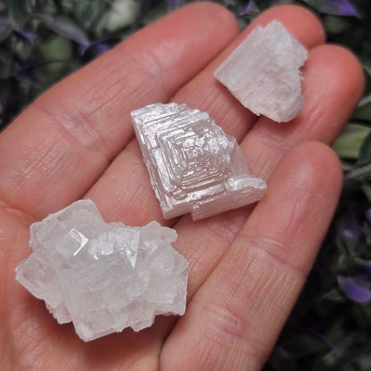 Geometric Halite Crystals
