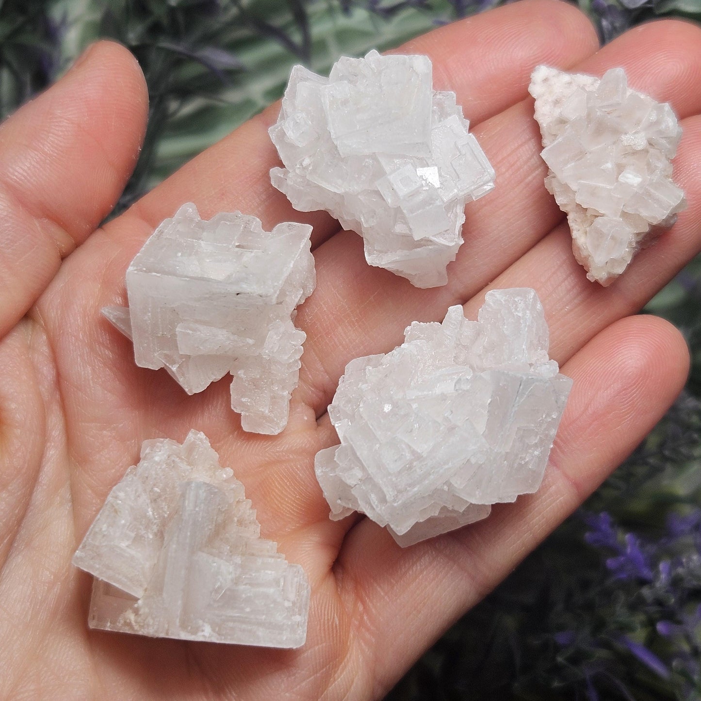 Geometric Halite Crystals