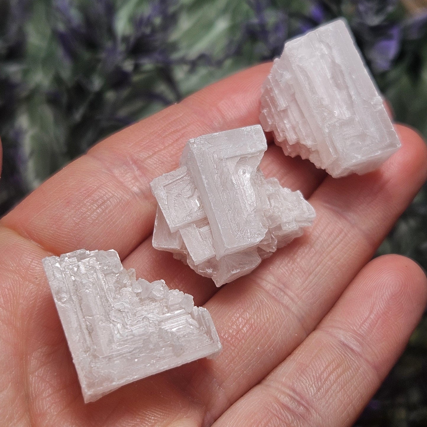 Geometric Halite Crystals