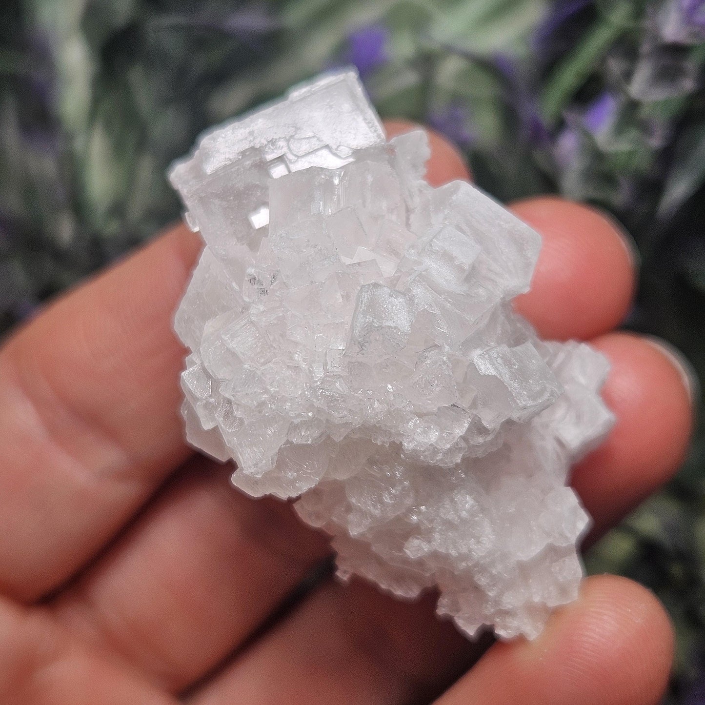 Geometric Halite Crystals