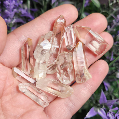 Lemurian Quartz