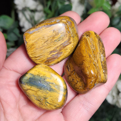 Pietersite & Tiger's Eye