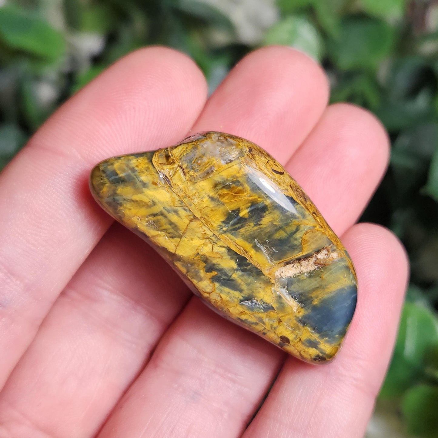 Pietersite & Tiger's Eye