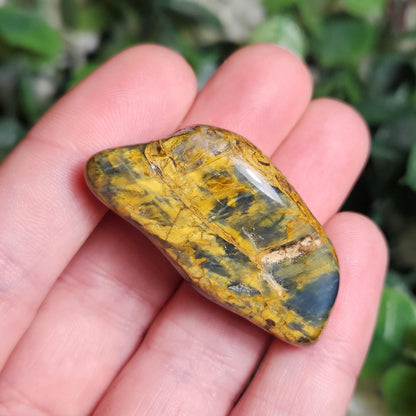 Pietersite & Tiger's Eye