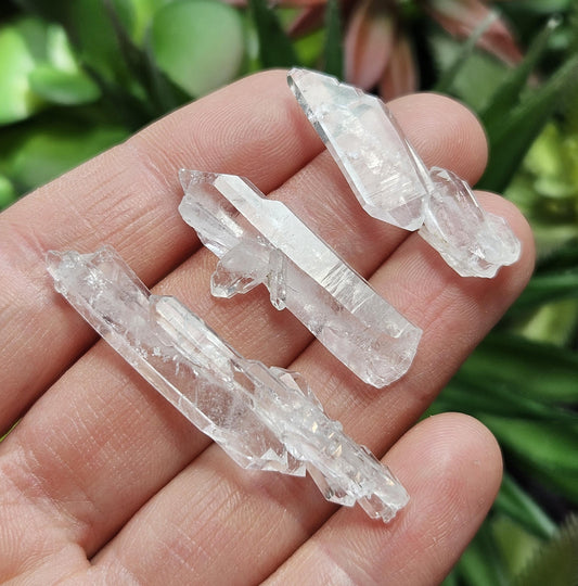 Faden Quartz Crystal