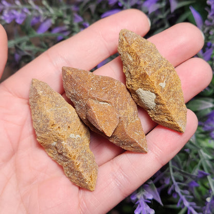 Glendonite Specimen