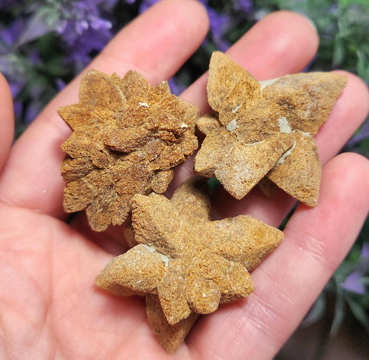 Glendonite Star