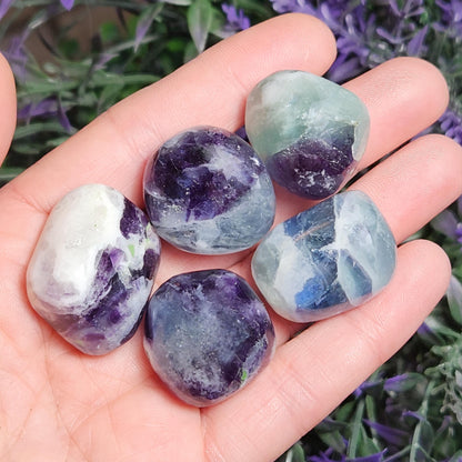 Rainbow Fluorite Crystal