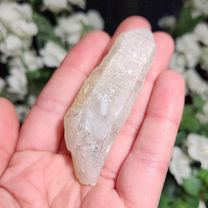 Hydrothermal Etched Quartz