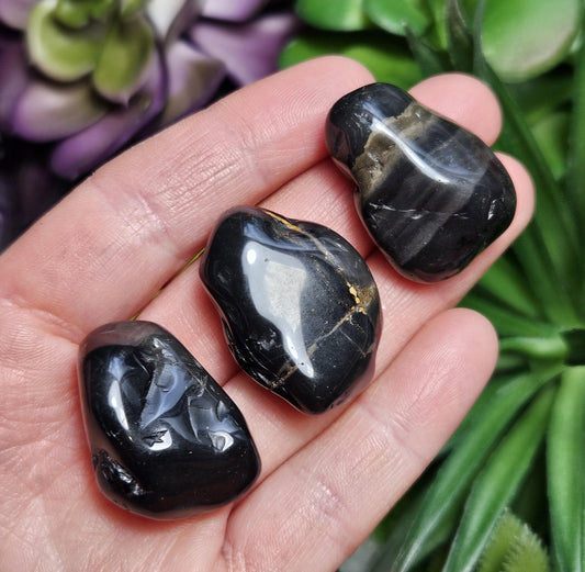 Black Onyx