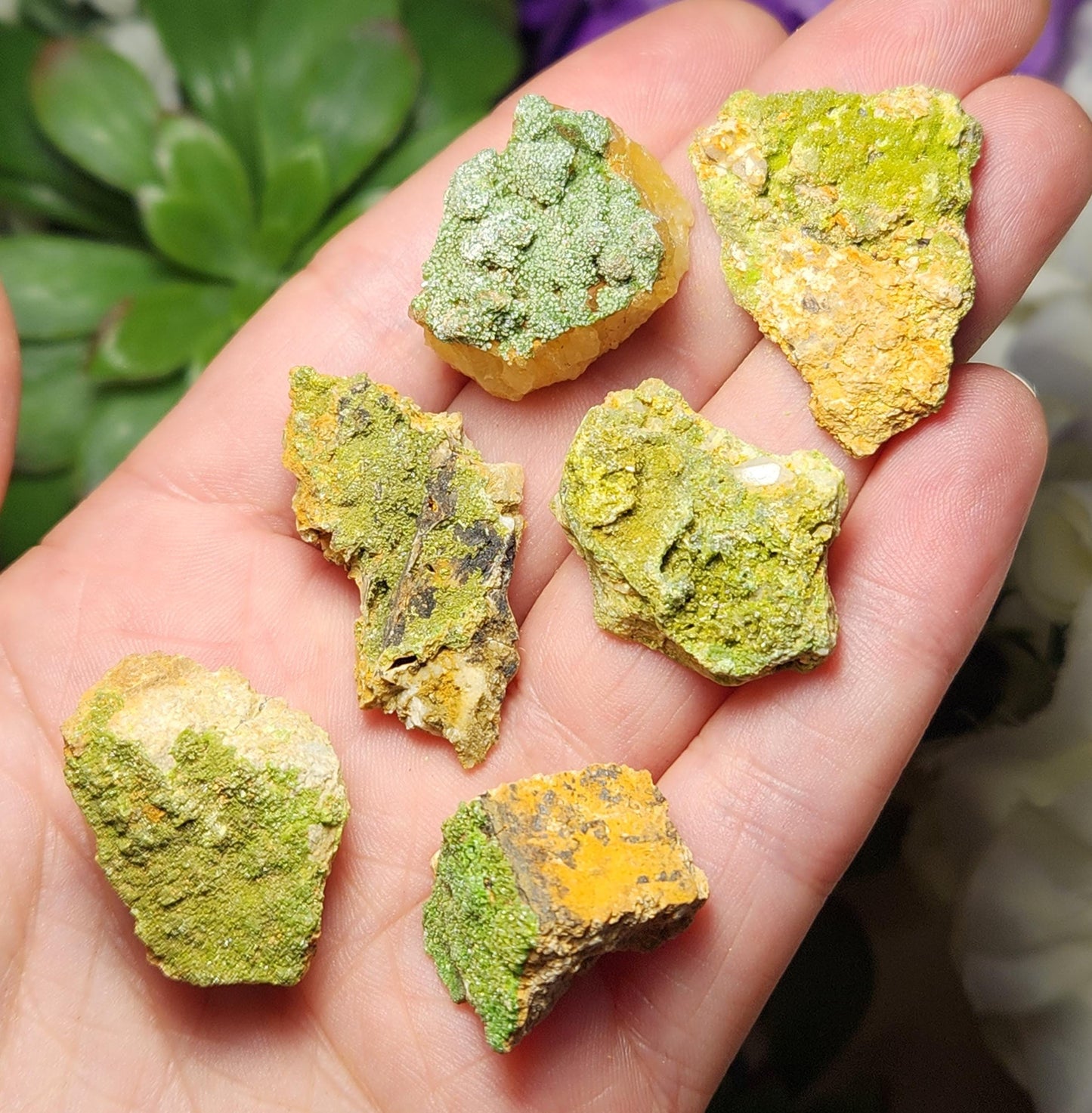 Raw Pyromorphite Crystal, Pyromorphite Cluster on Matrix
