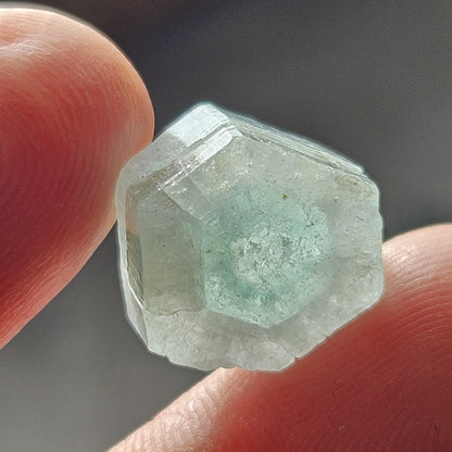 Rare Bicolor Phantom Aquamarine Crystal