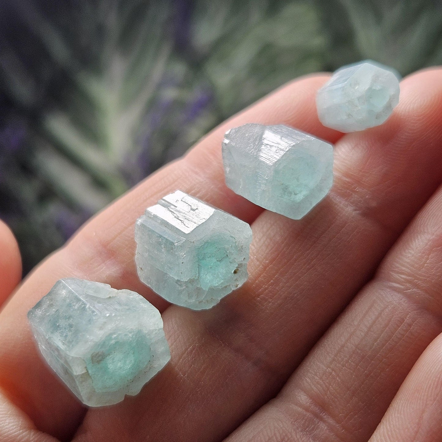 Phantom Aquamarine Crystals