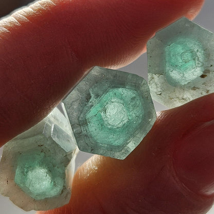 Rare Bicolor Phantom Aquamarine Crystal