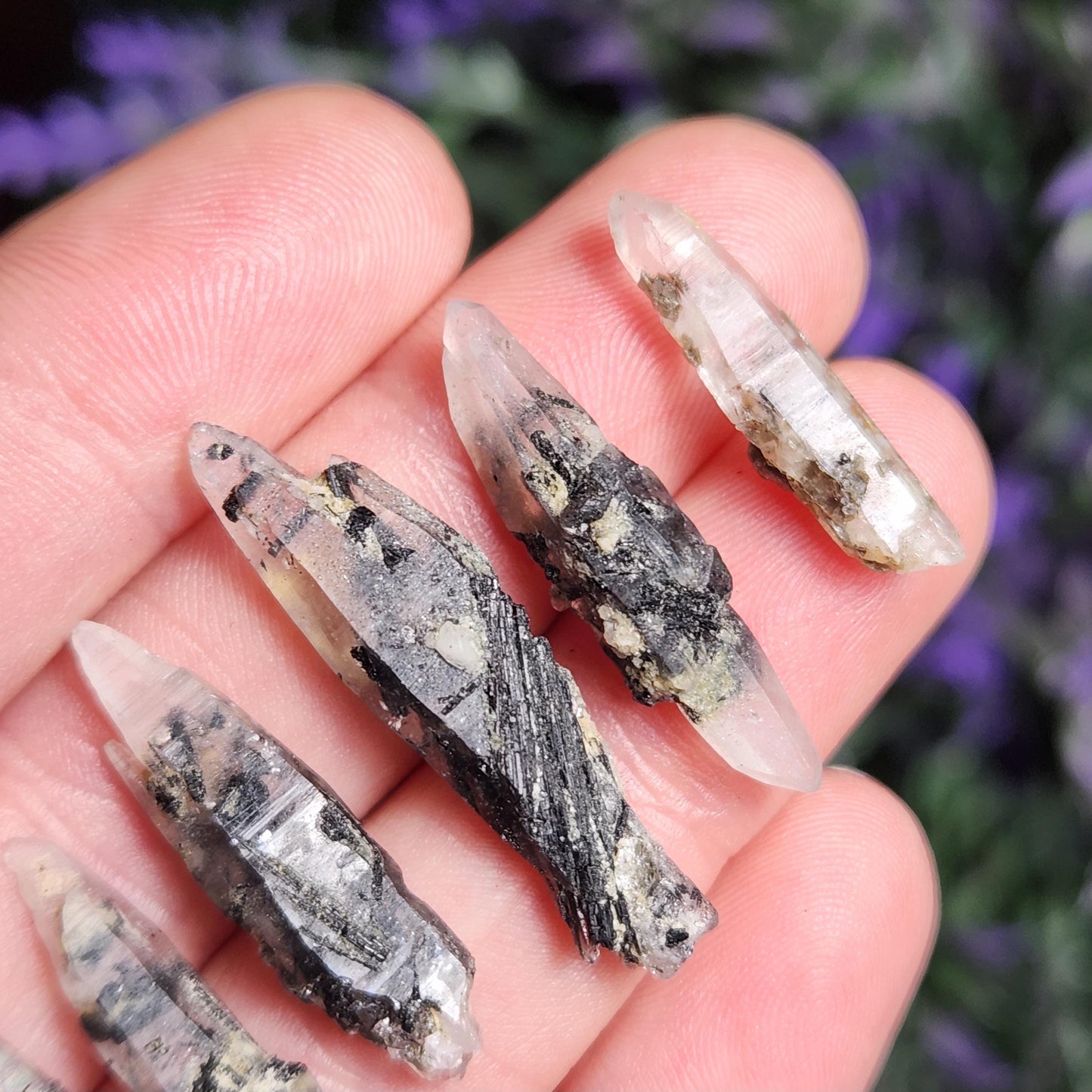 Black Samadhi Himalayan Quartz