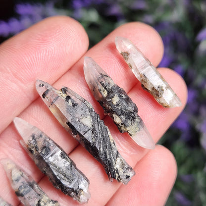 Black Samadhi Himalayan Quartz