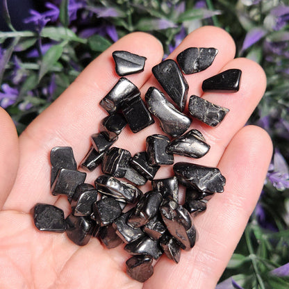 Shungite Crystal Chips