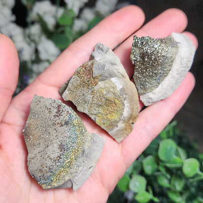 Rainbow Pyrite Specimen
