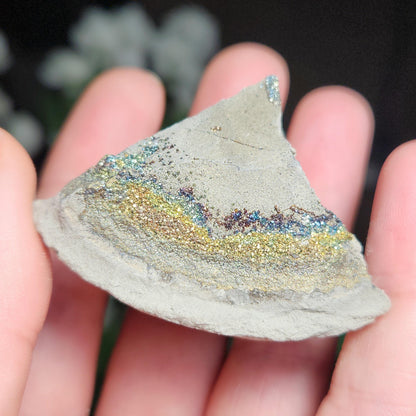 Rainbow Pyrite Specimen