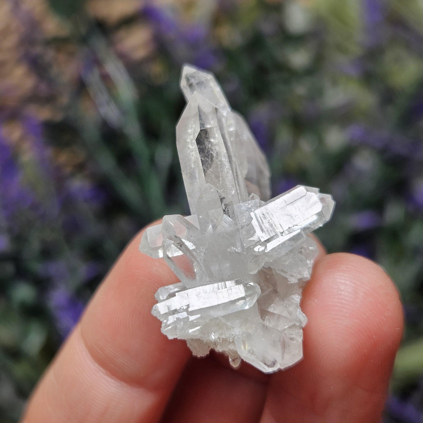 Himalayan Manifestation Faden Quartz