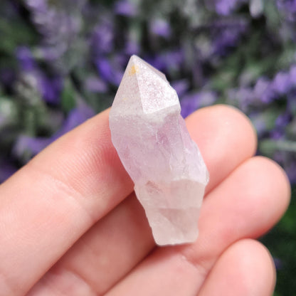 Sugar Capped Amethyst Points