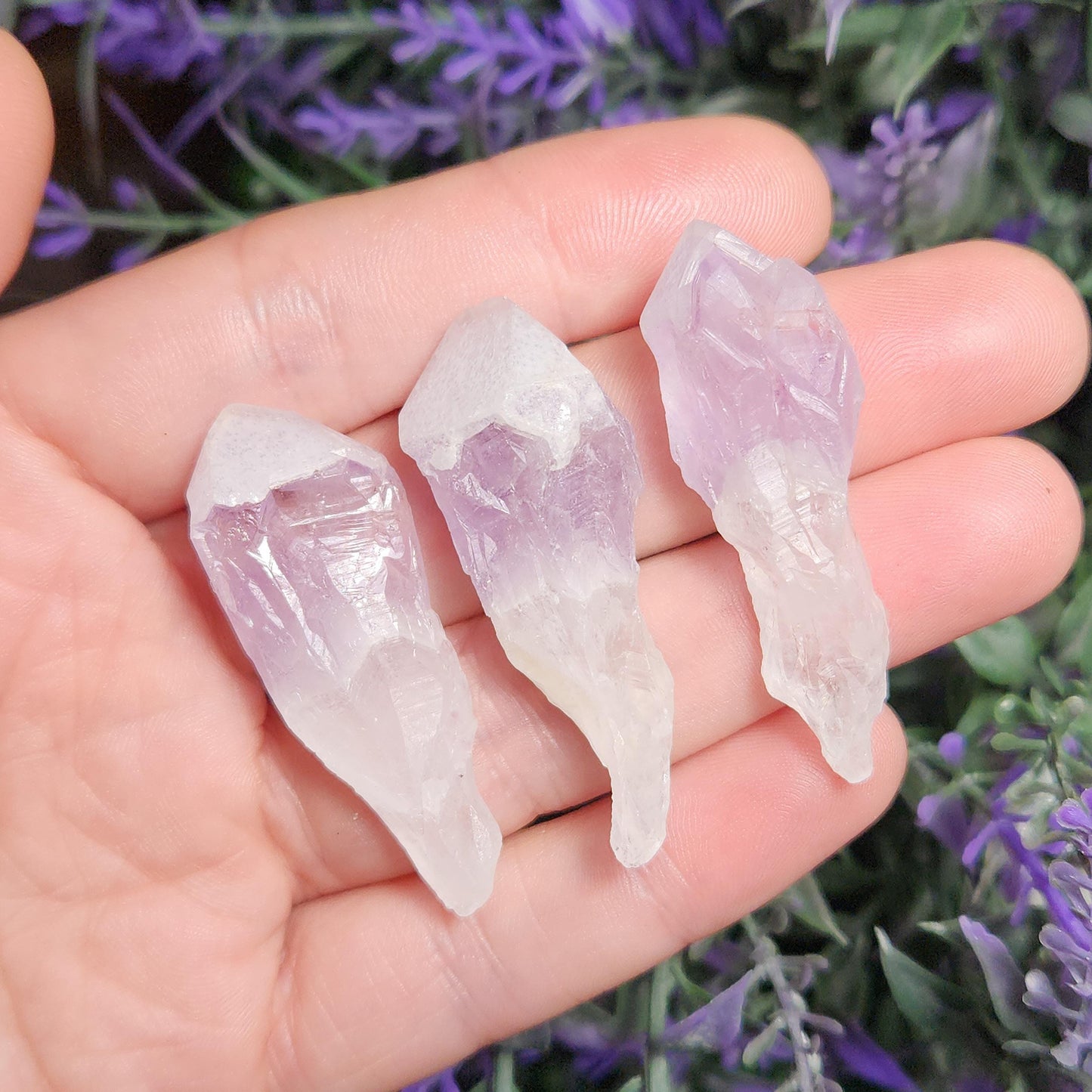 Sugar Capped Amethyst Points