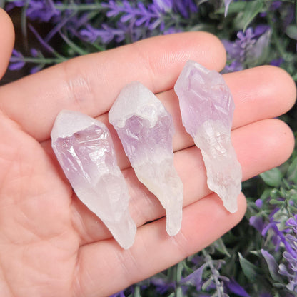 Sugar Capped Amethyst Points
