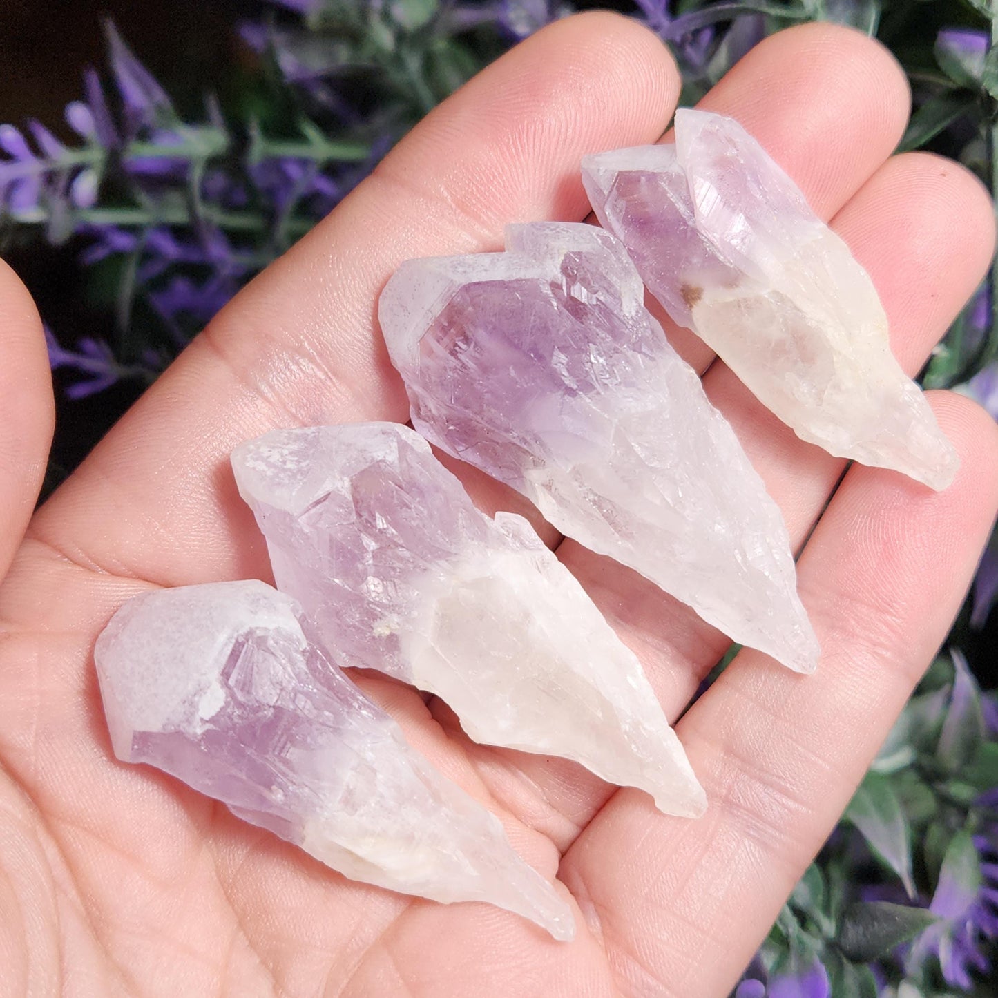 Sugar Capped Amethyst Points