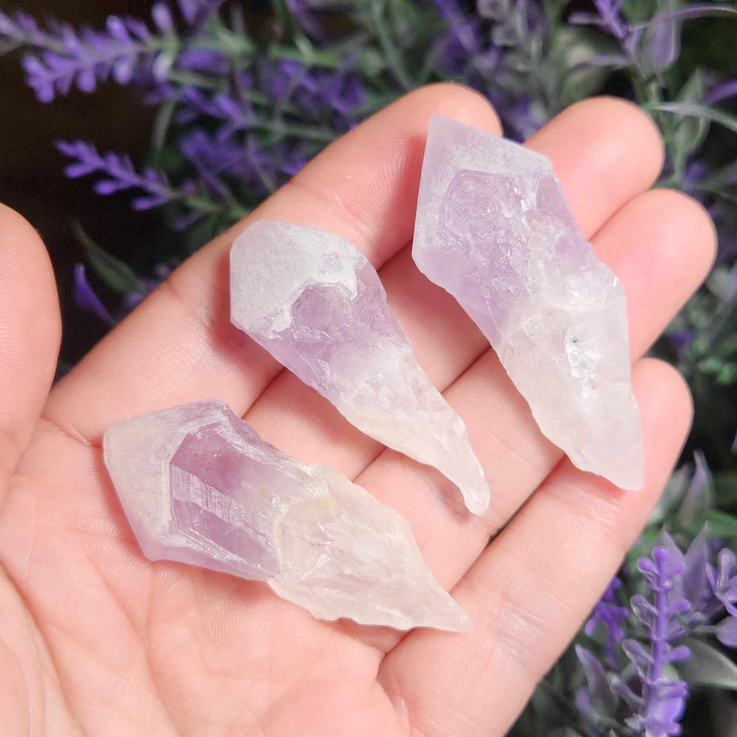 Sugar Capped Amethyst Points
