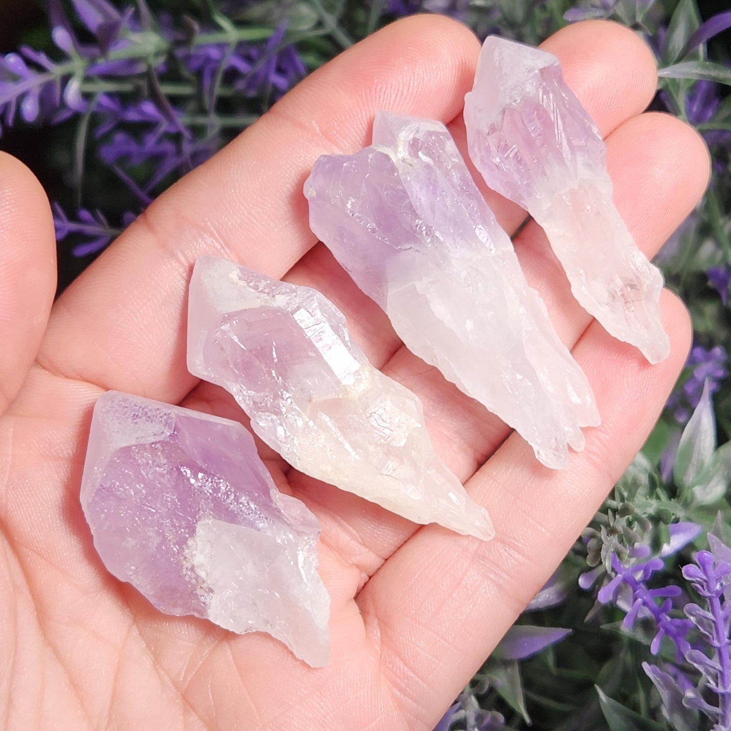 Sugar Capped Amethyst Points