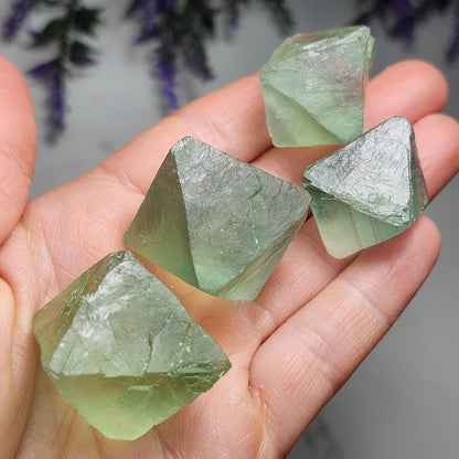 XL Green Fluorite Octahedron