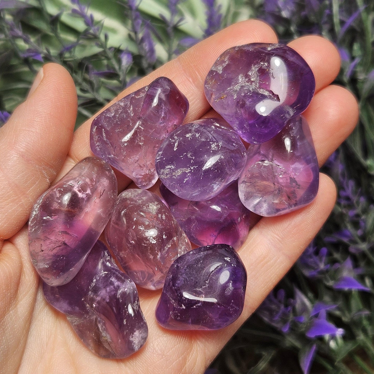 Brazilian Amethyst