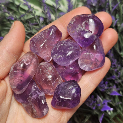 Brazilian Amethyst
